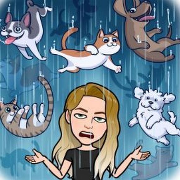 Meet your Posher, Cat - Picture 1 of 1